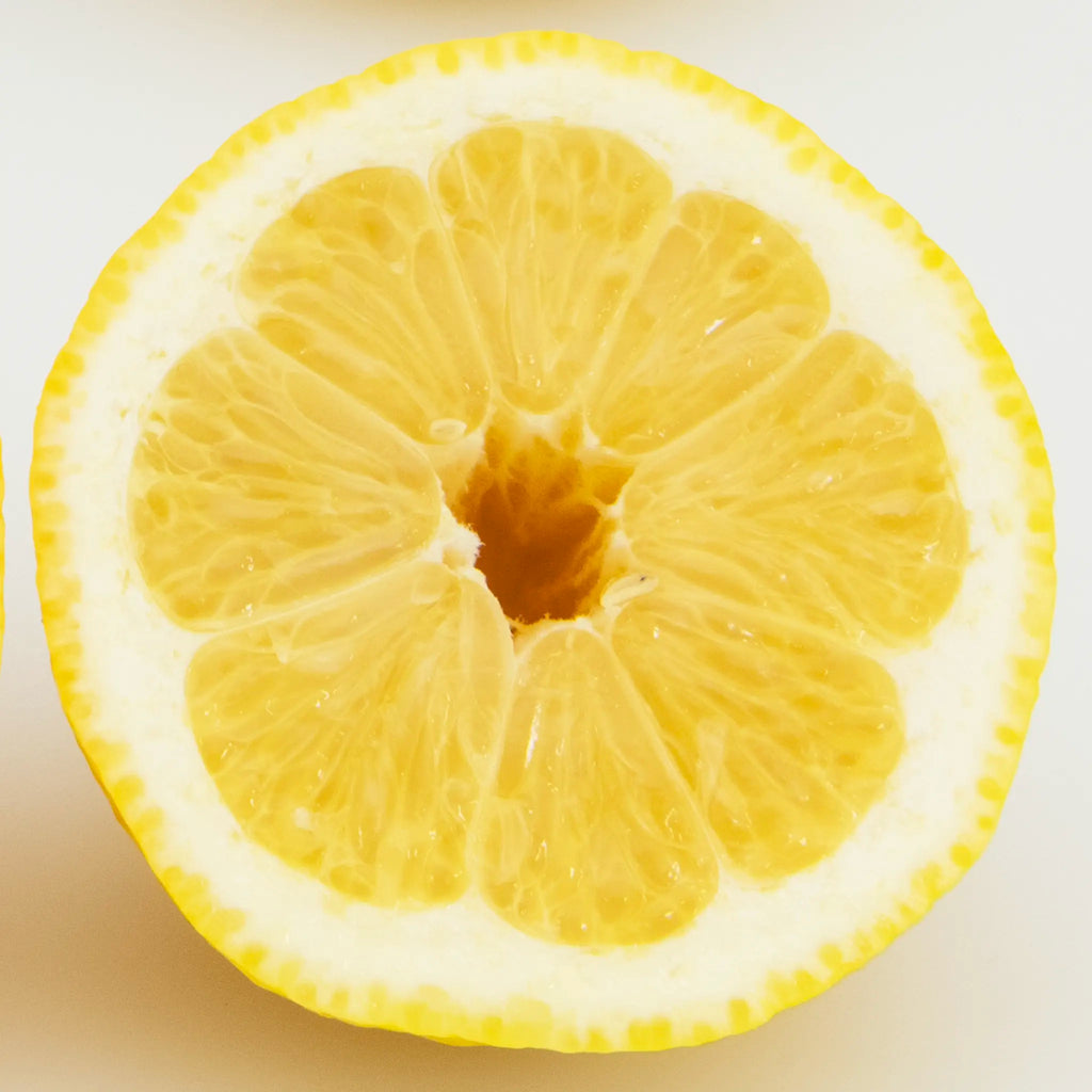 Amalfi Lemon Tree (Femminello Sfusato)