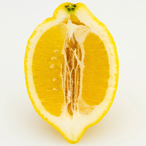 Amalfi Lemon Tree (Femminello Sfusato)