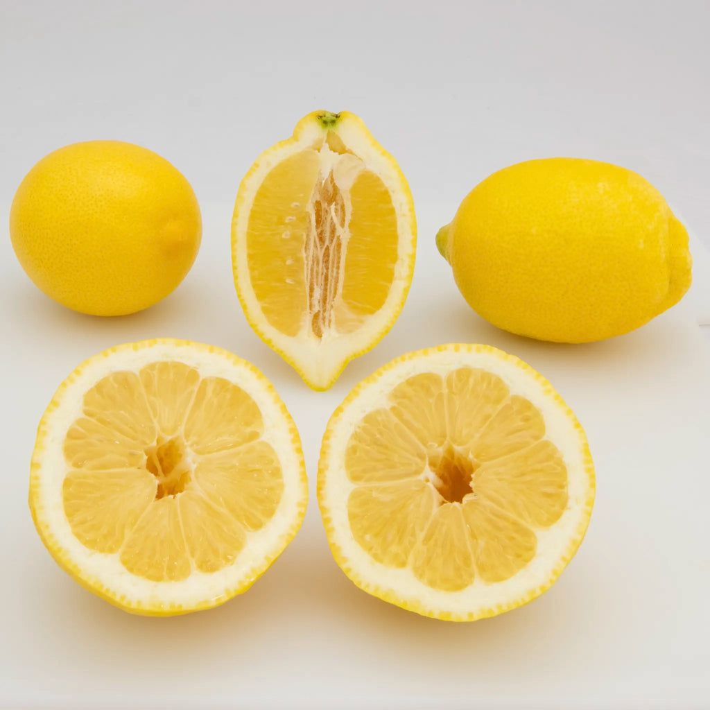 Amalfi Lemon Tree (Femminello Sfusato)