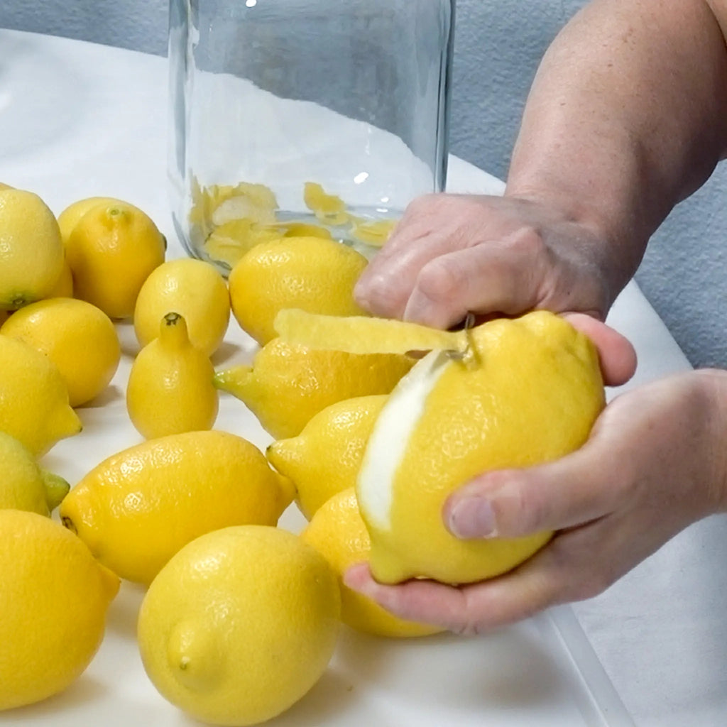 Amalfi Lemon Tree (Femminello Sfusato)