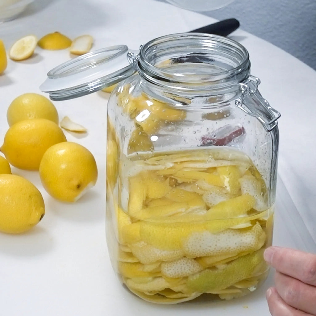 Amalfi Lemon Tree (Femminello Sfusato)