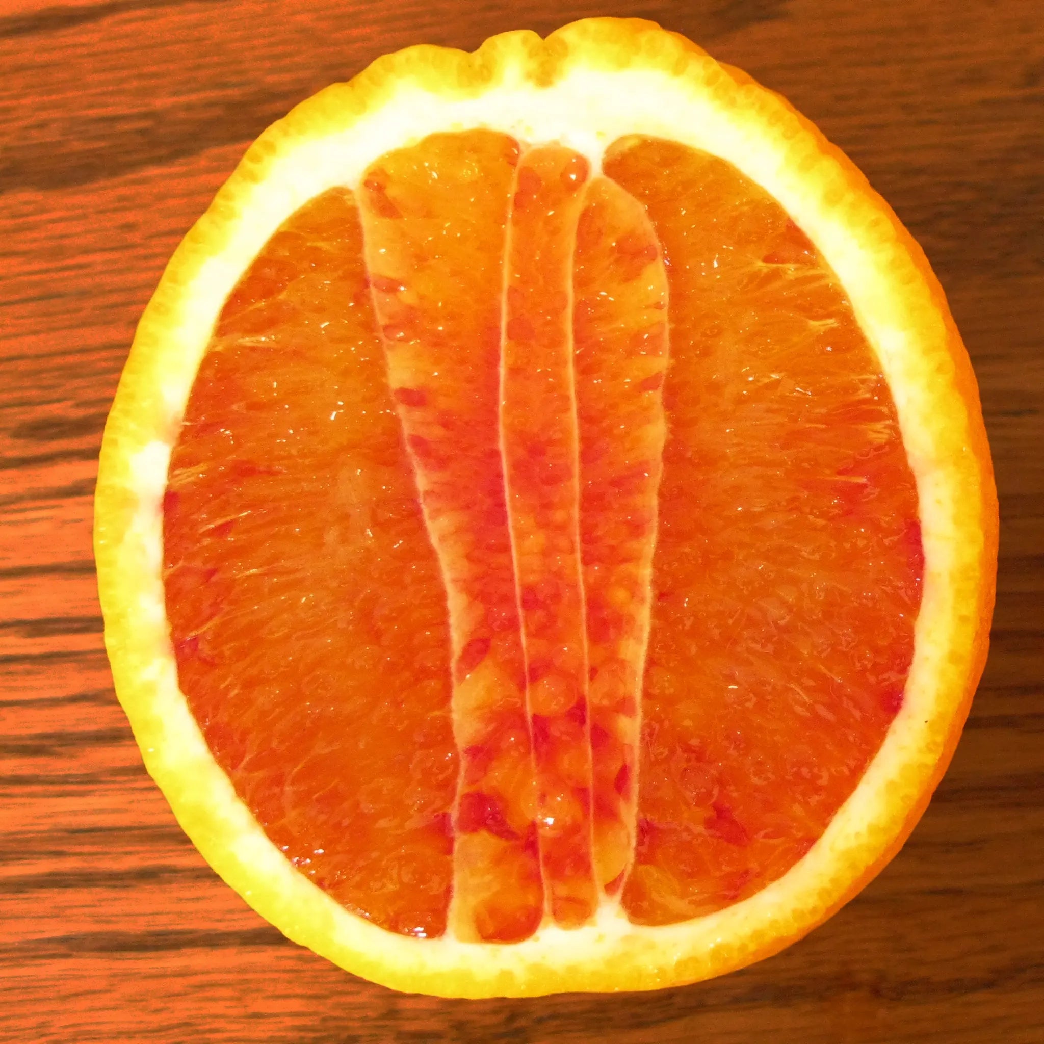 Boukhobza Maltese Blood Orange Tree