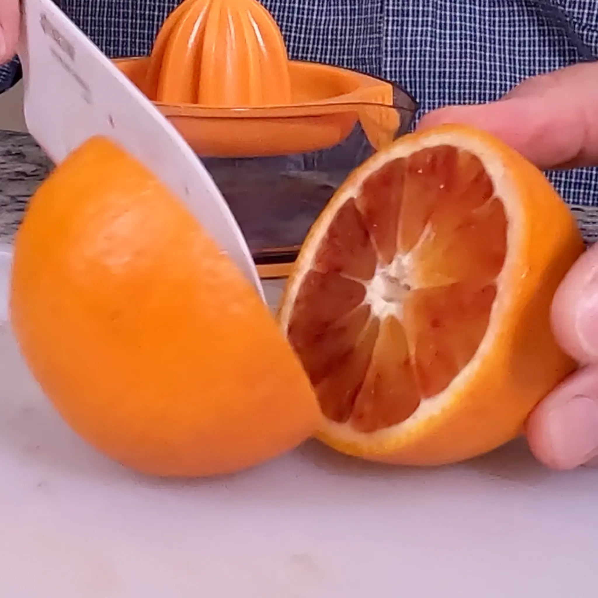 Boukhobza Maltese Blood Orange Tree