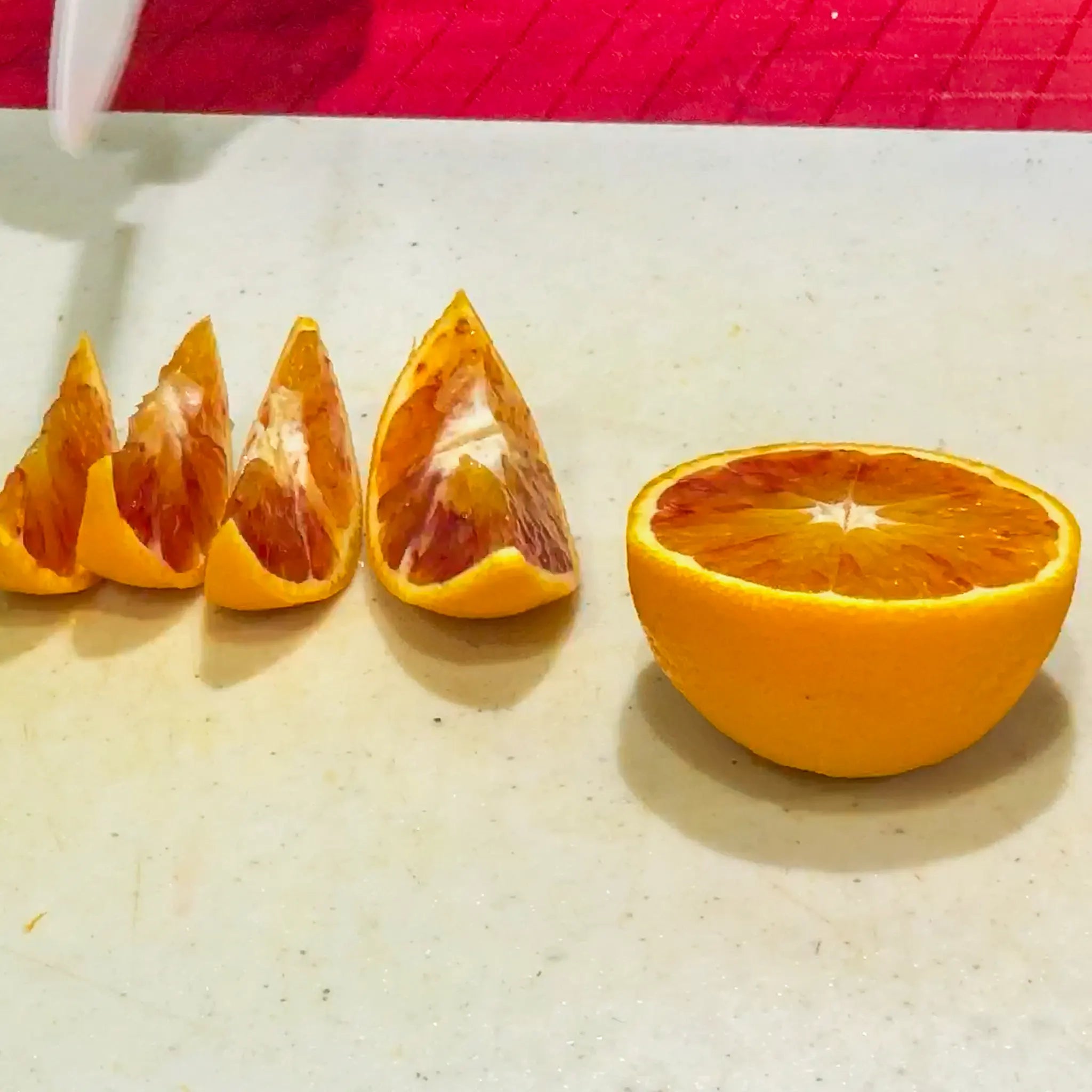 Boukhobza Maltese Blood Orange Tree