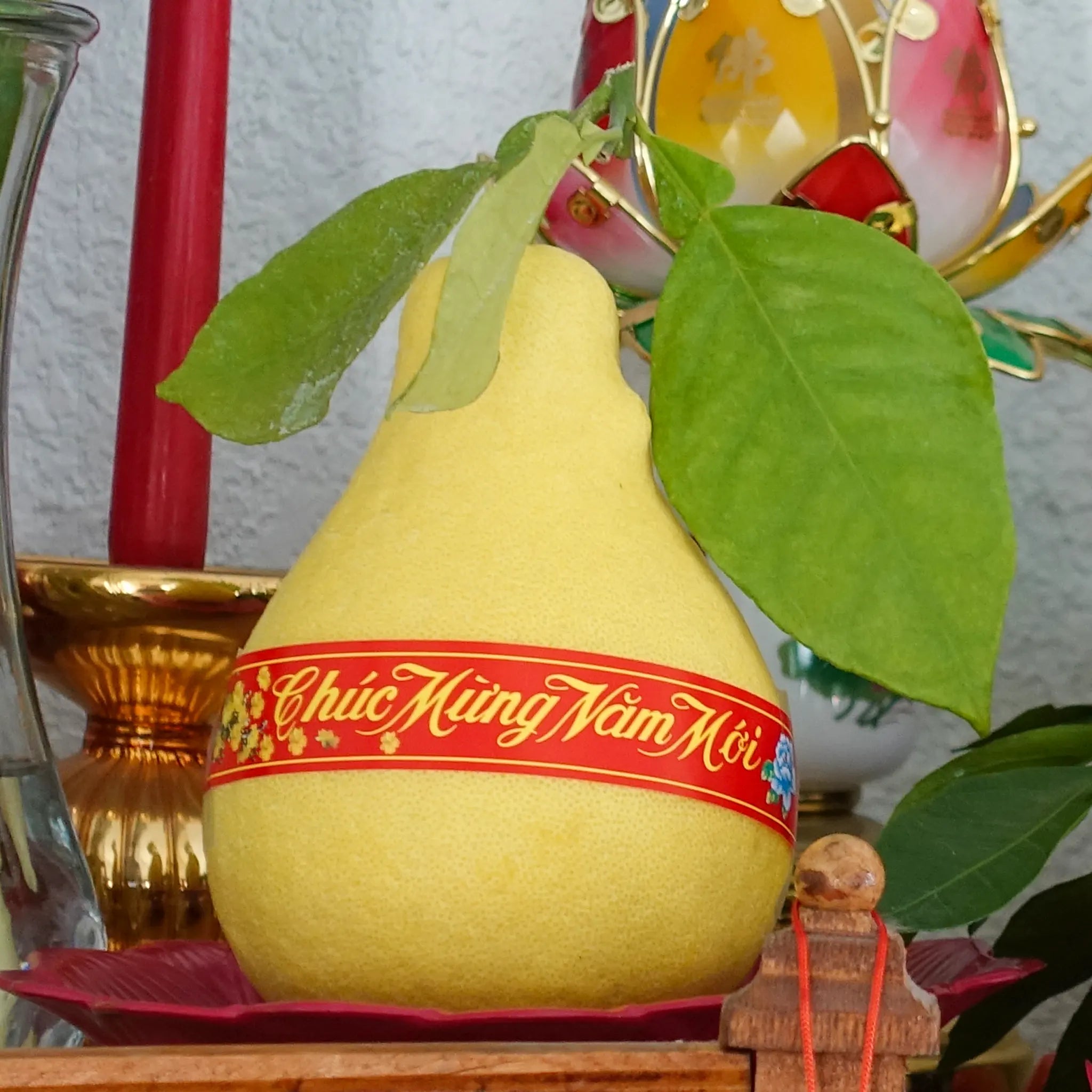Buoi Oi Tree (Vietnamese Pummelo)