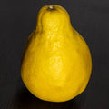 Buoi Oi Tree (Vietnamese Pummelo)
