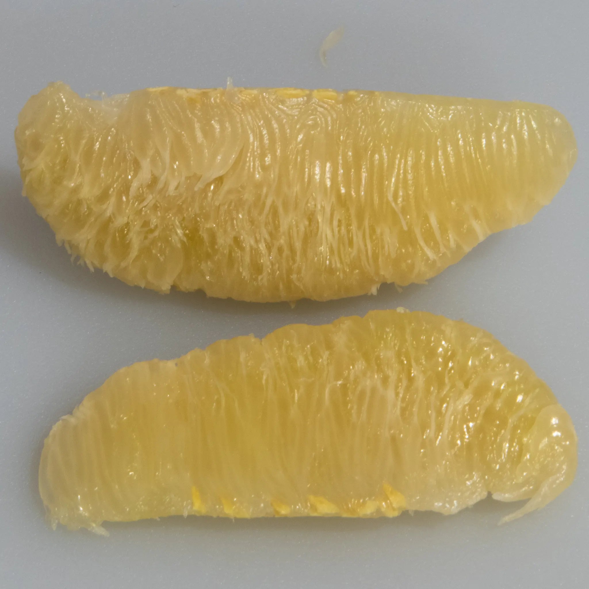 Buoi Oi Tree (Vietnamese Pummelo)