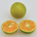 Calamansi Tree