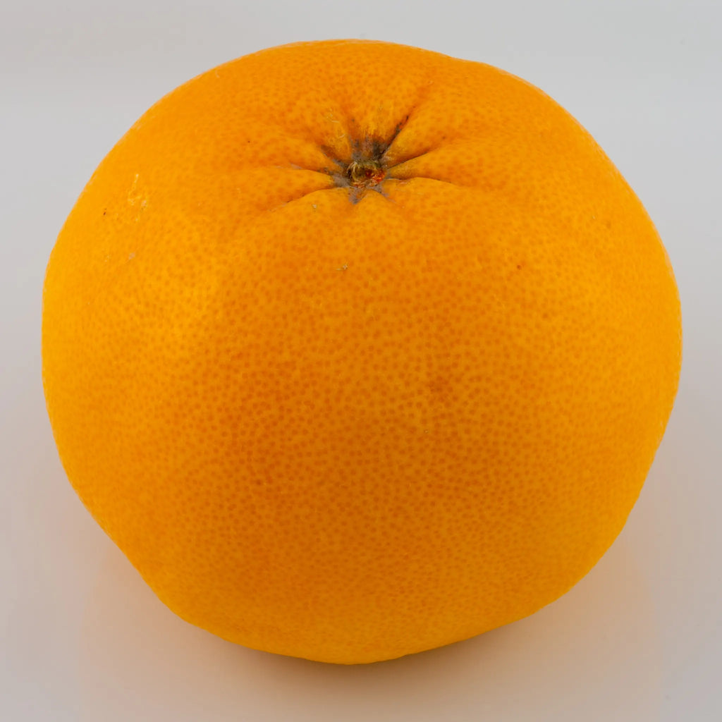 Cocktail Pummelo Hybrid Tree