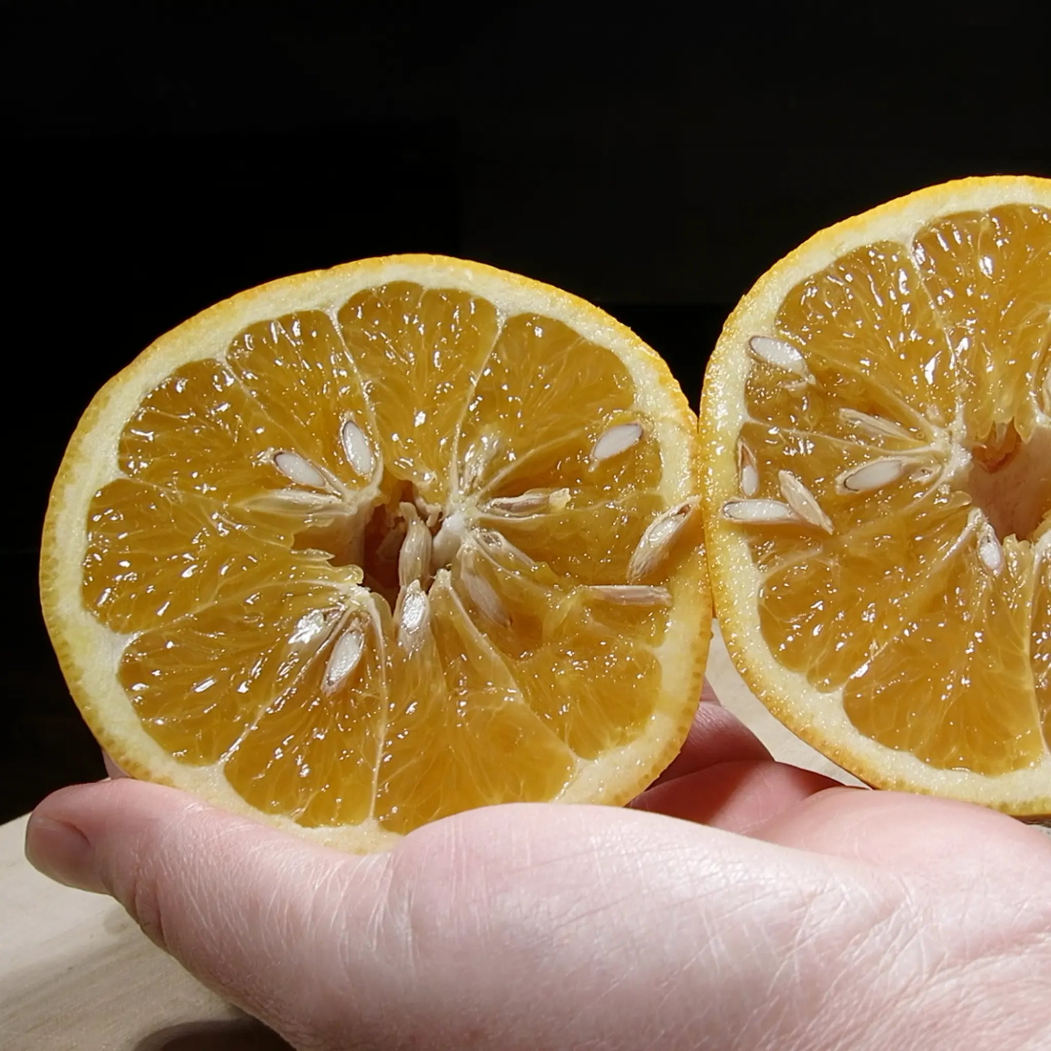Cocktail Pummelo Hybrid Tree