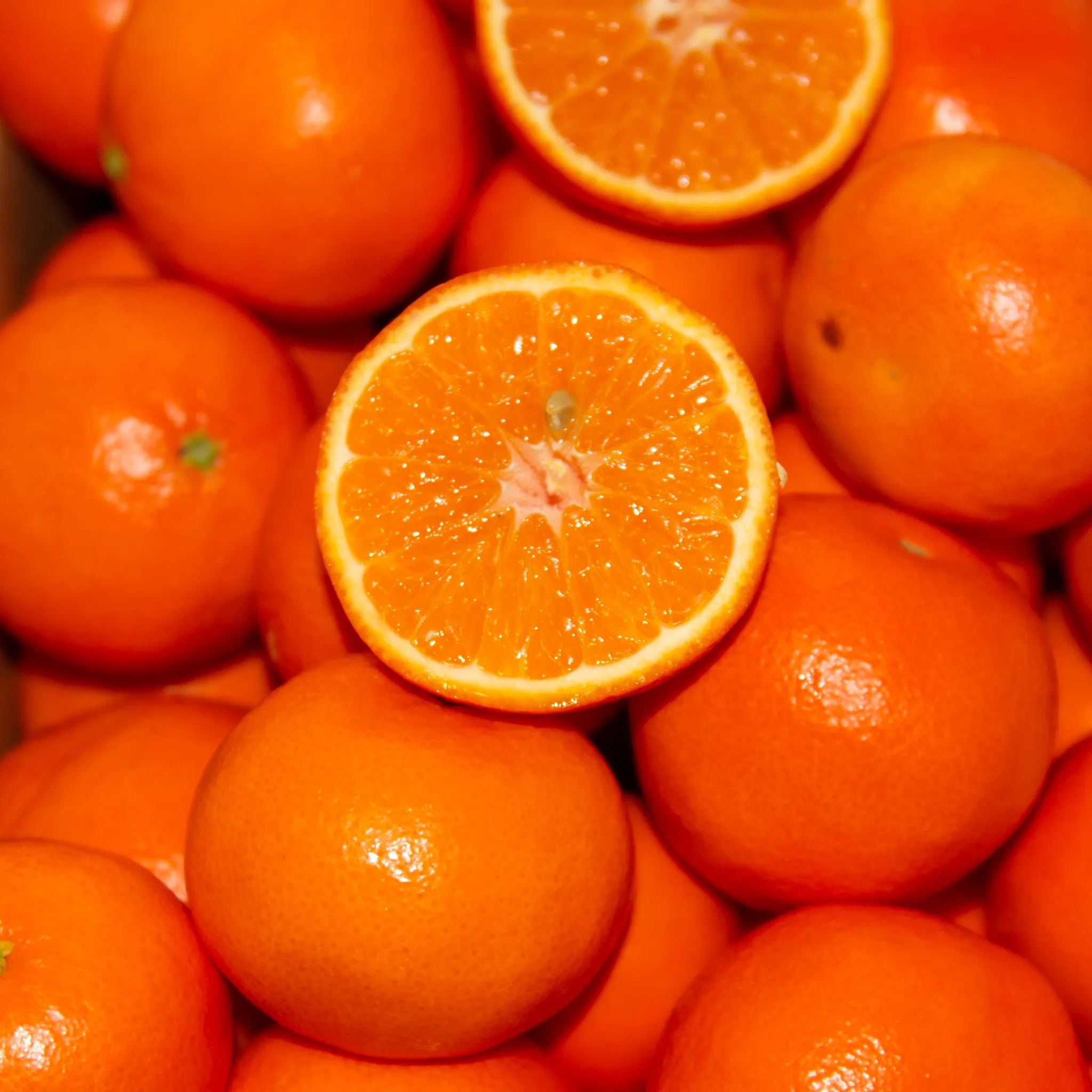 Daisy SL Mandarin Orange Tree