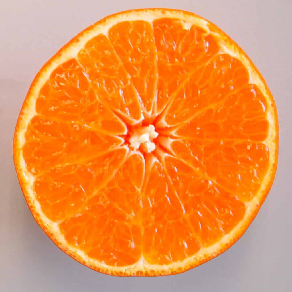 Daisy SL Mandarin Orange Tree