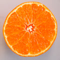 Daisy SL Mandarin Orange Tree
