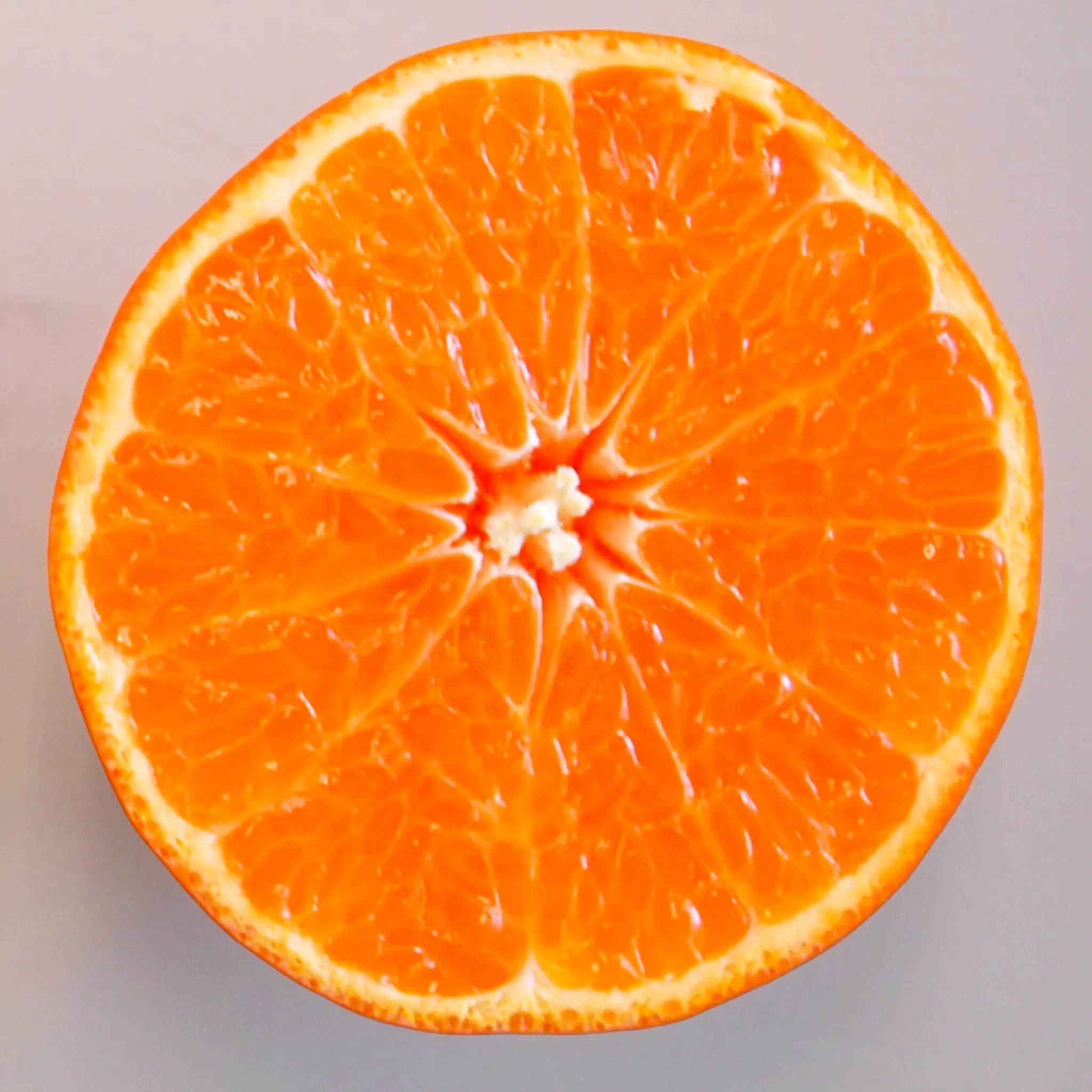 Daisy SL Mandarin Orange Tree