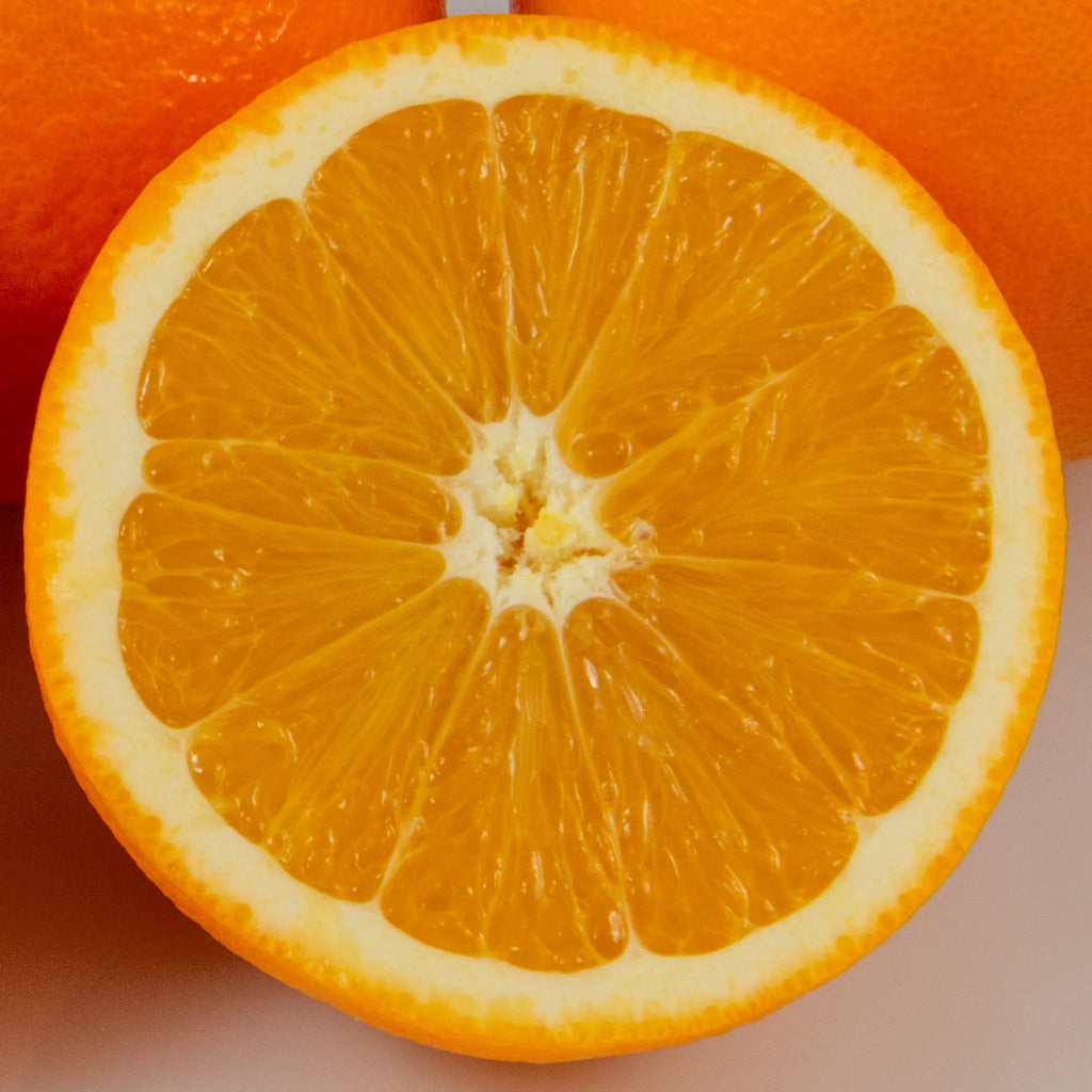 Fukumoto Navel Orange Tree