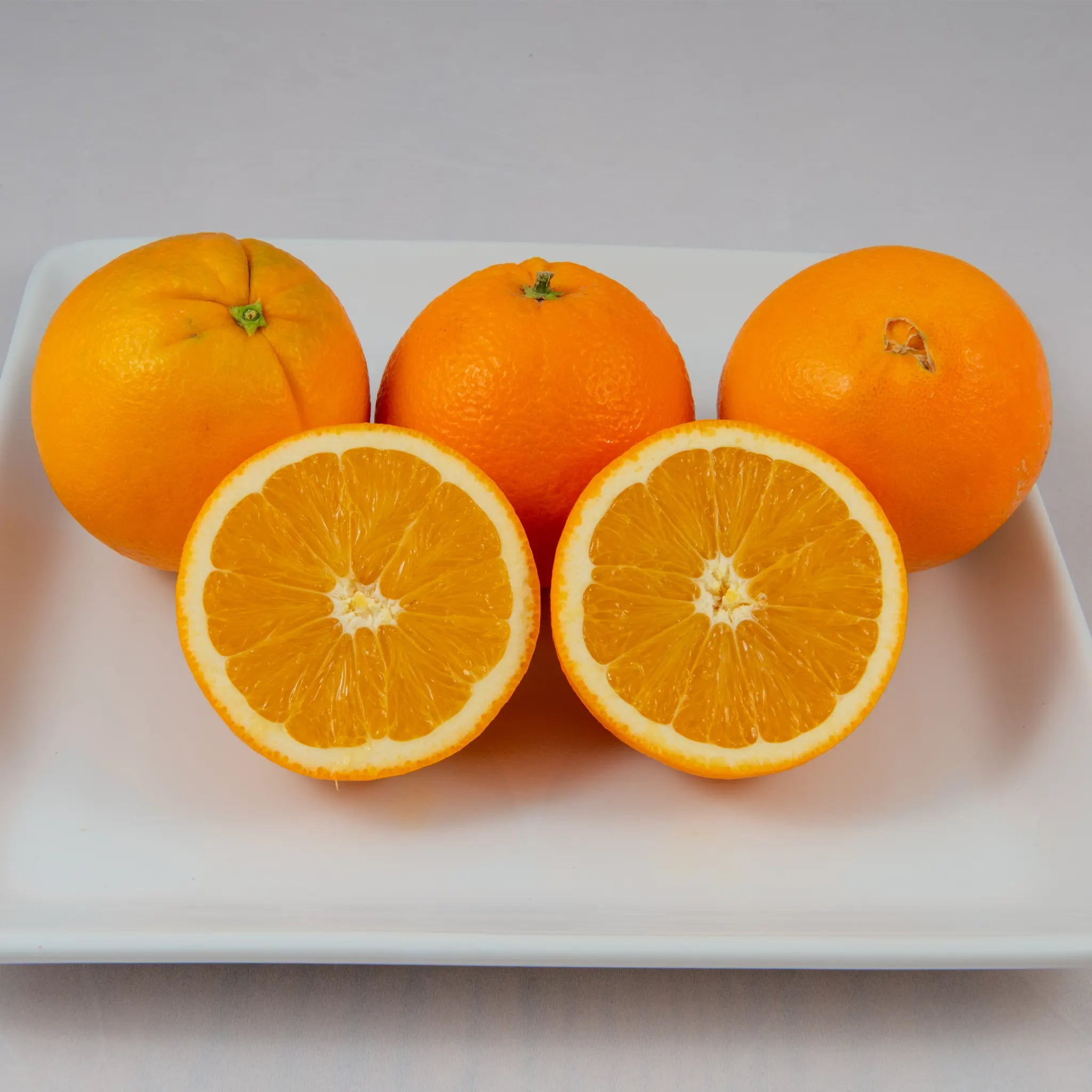 Fukumoto Navel Orange Tree