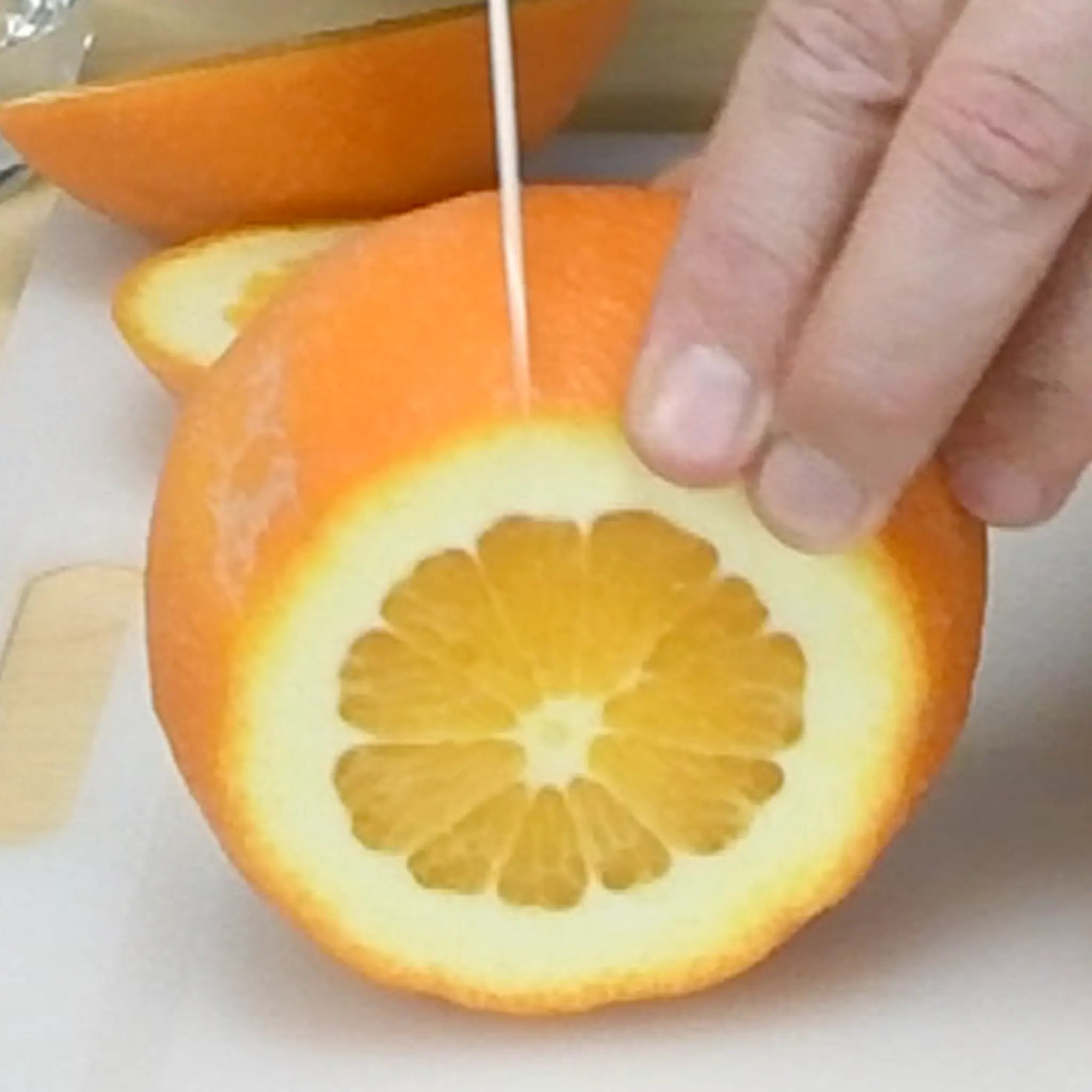 Fukumoto Navel Orange Tree