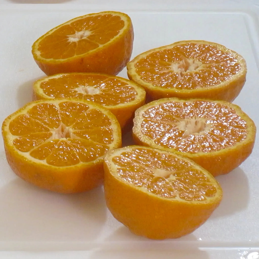 Gold Nugget Mandarin Orange Tree
