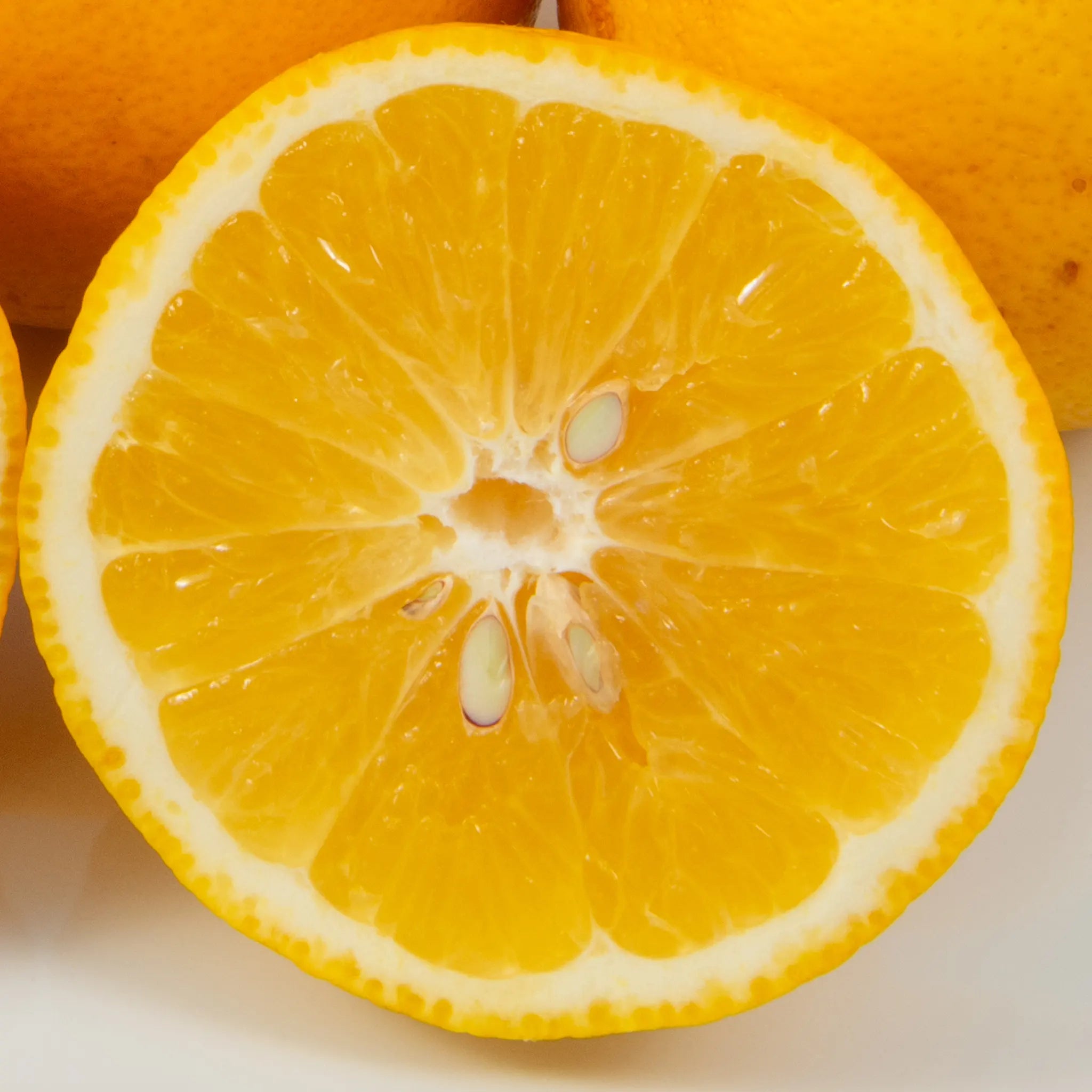 Lemonade Tree (New Zealand)