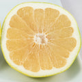 Melogold Grapefruit Hybrid Tree
