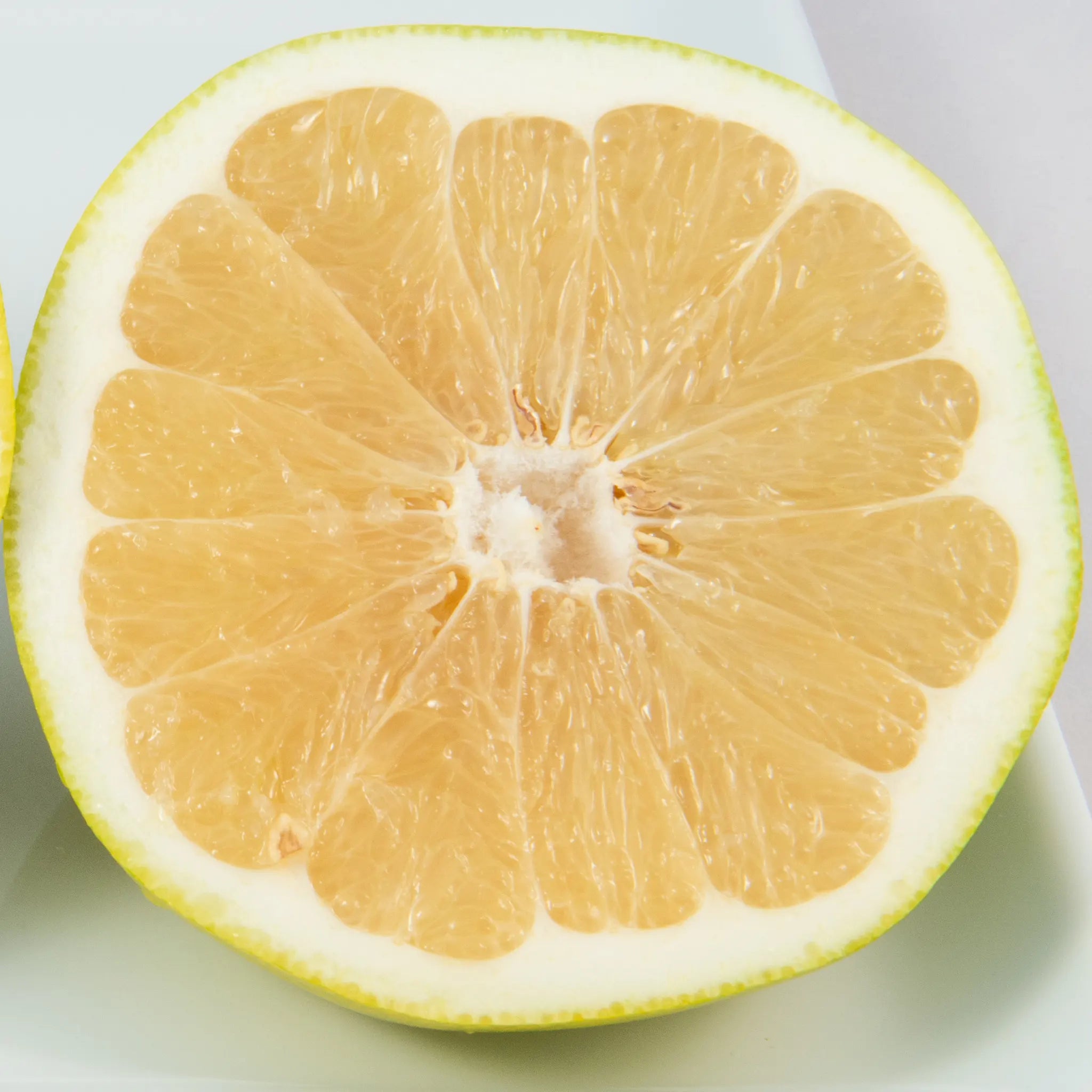 Melogold Grapefruit Hybrid Tree