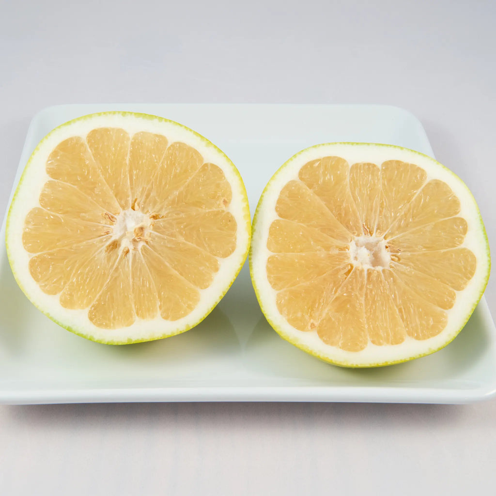 Melogold Grapefruit Hybrid Tree