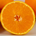 Midknight Seedless Valencia Orange Tree