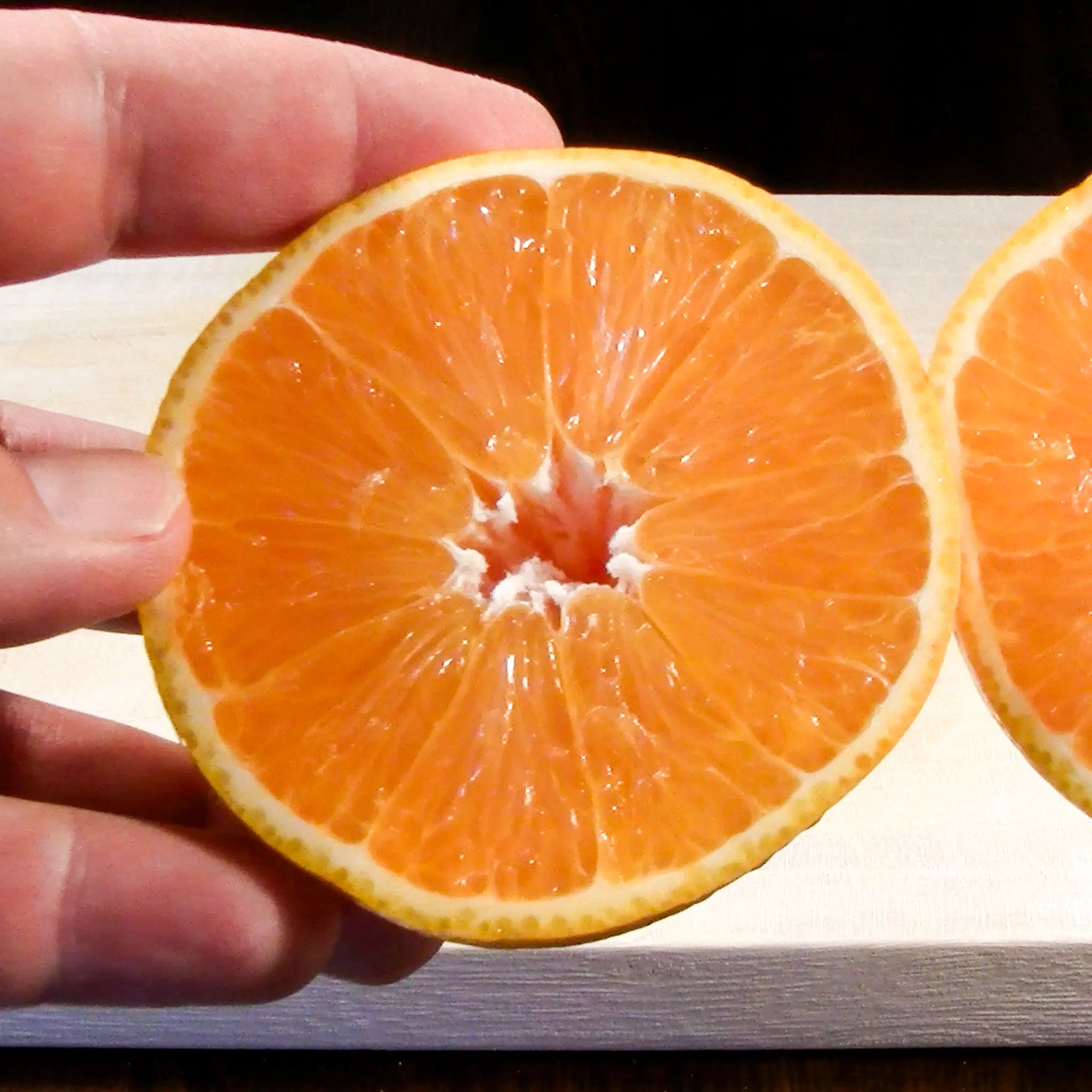 Midknight Seedless Valencia Orange Tree