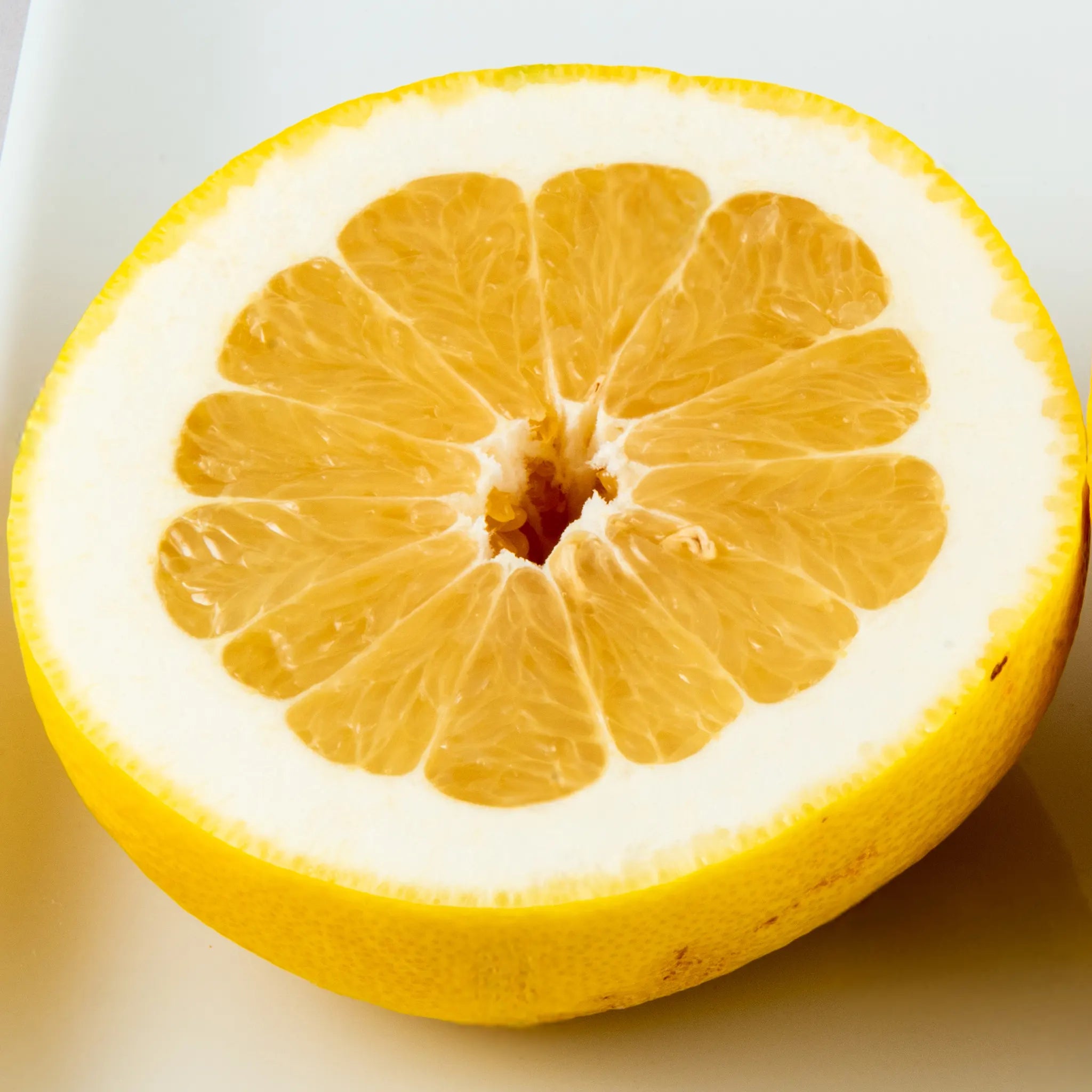 Oroblanco Grapefruit Hybrid Tree