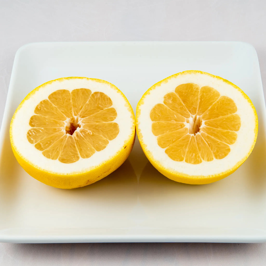 Oroblanco Grapefruit Hybrid Tree