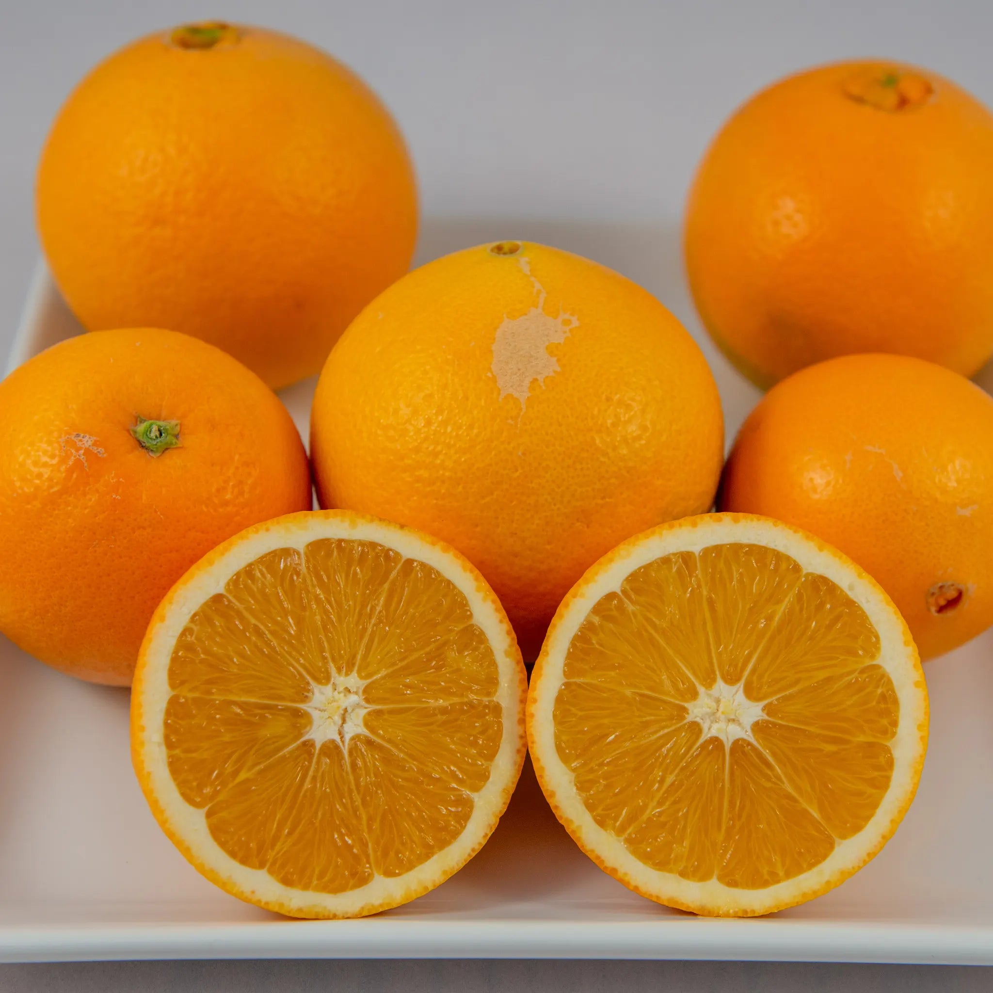 Parent Washington Navel Orange Tree