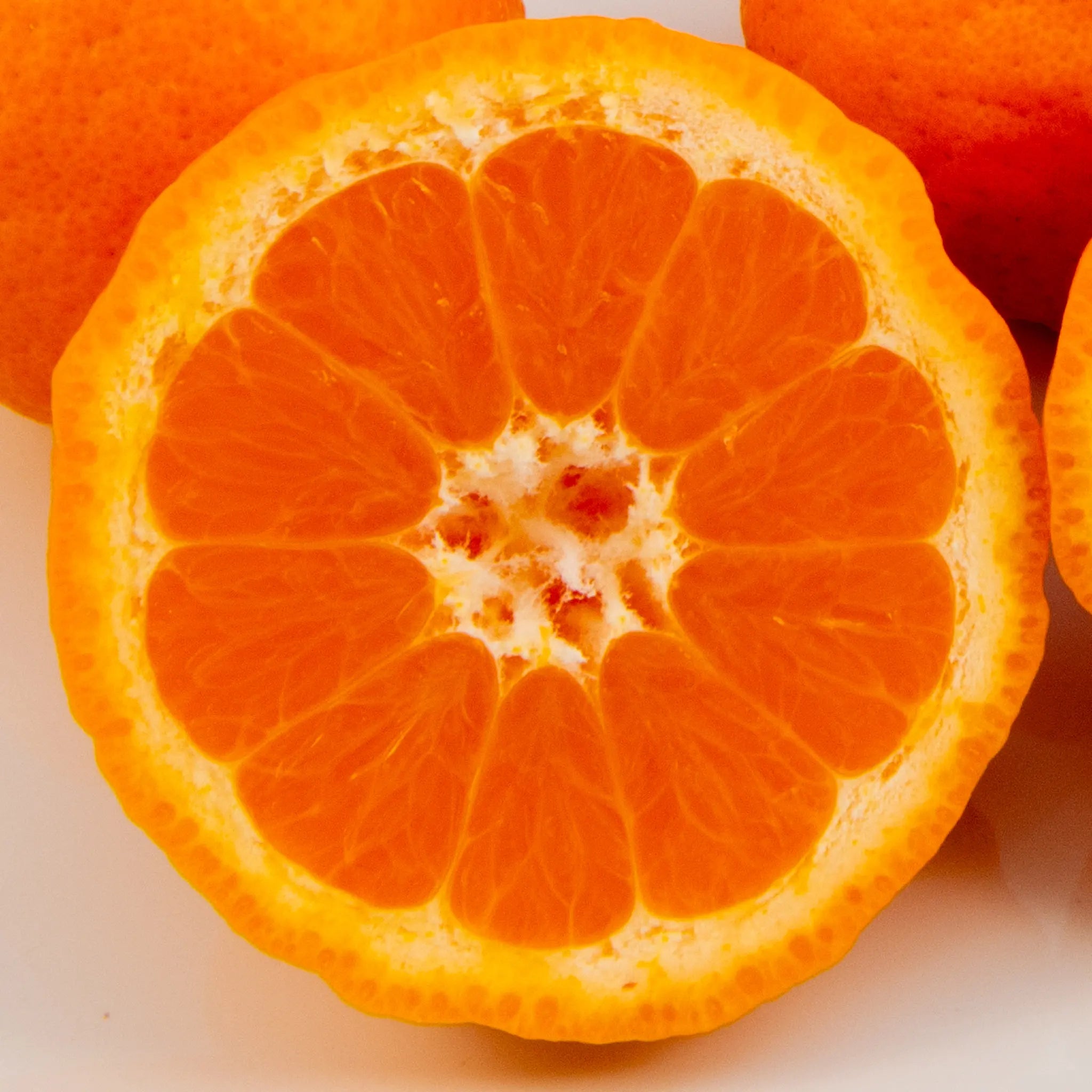 Pixie Mandarin Orange Tree