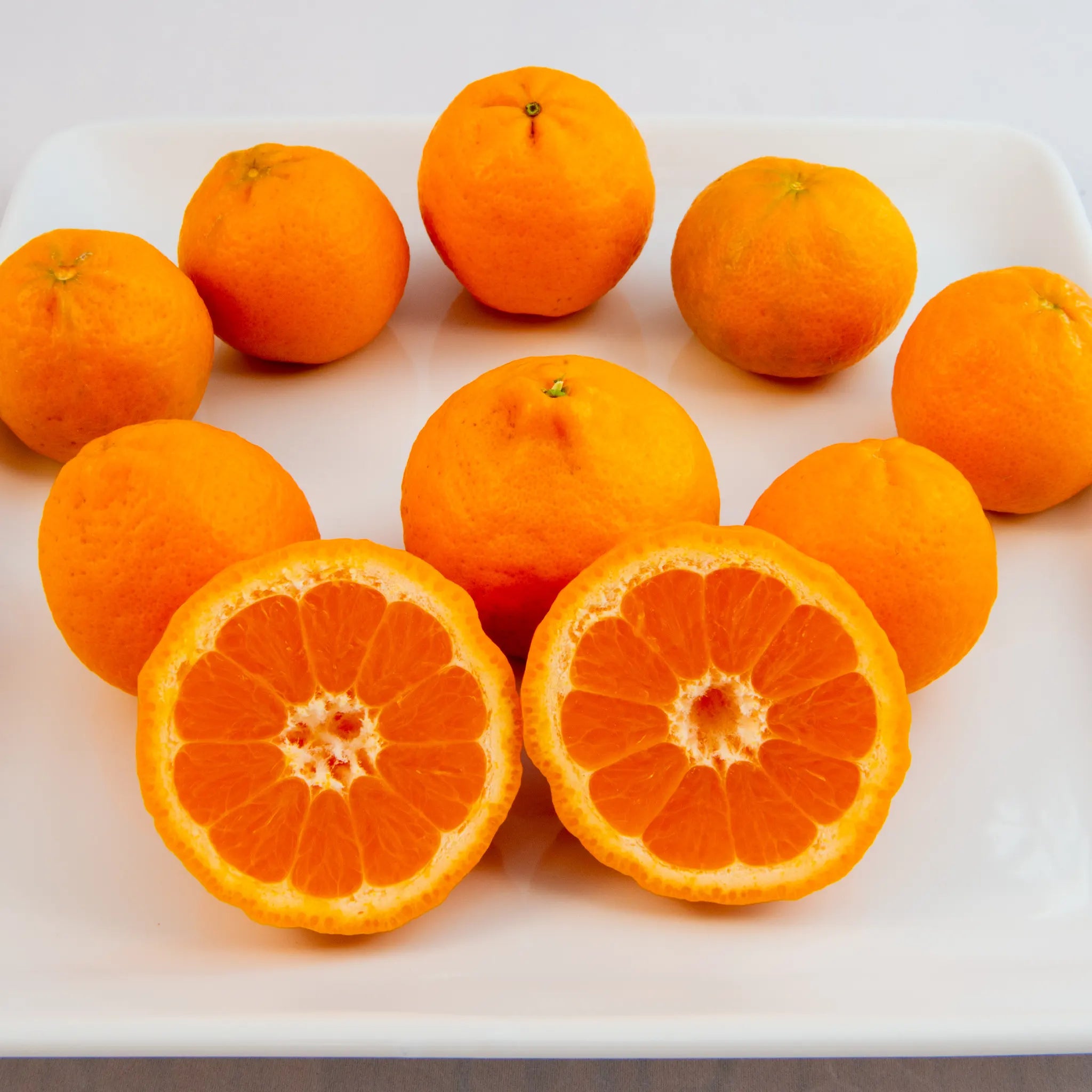 Pixie Mandarin Orange Tree