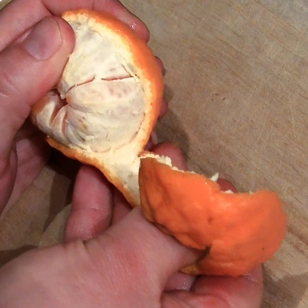 Pixie Mandarin Orange Tree