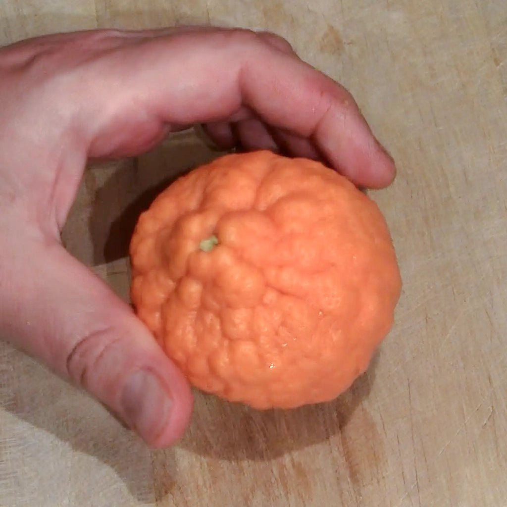 Pixie Mandarin Orange Tree