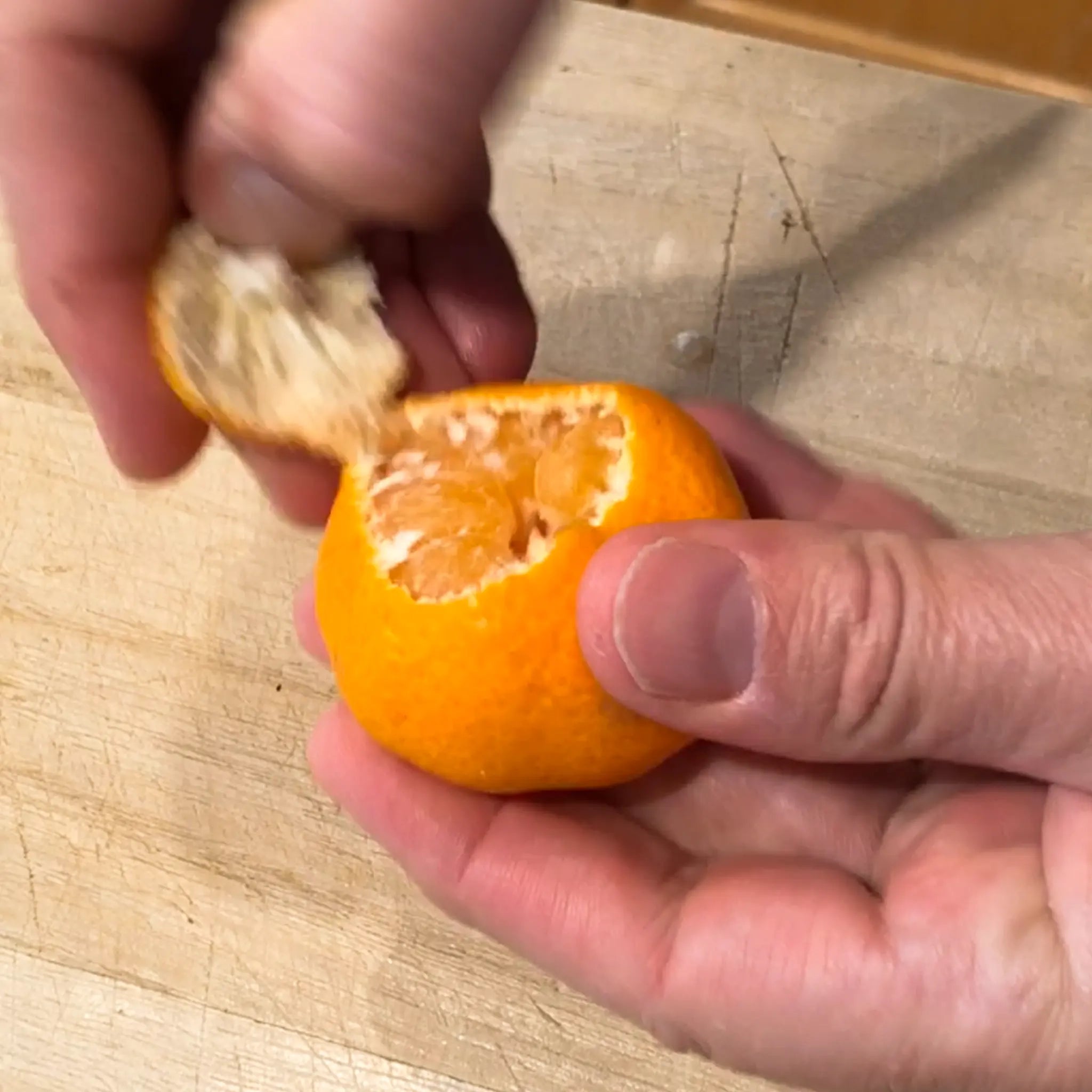 Seedless Kishu Mandarin Orange Tree