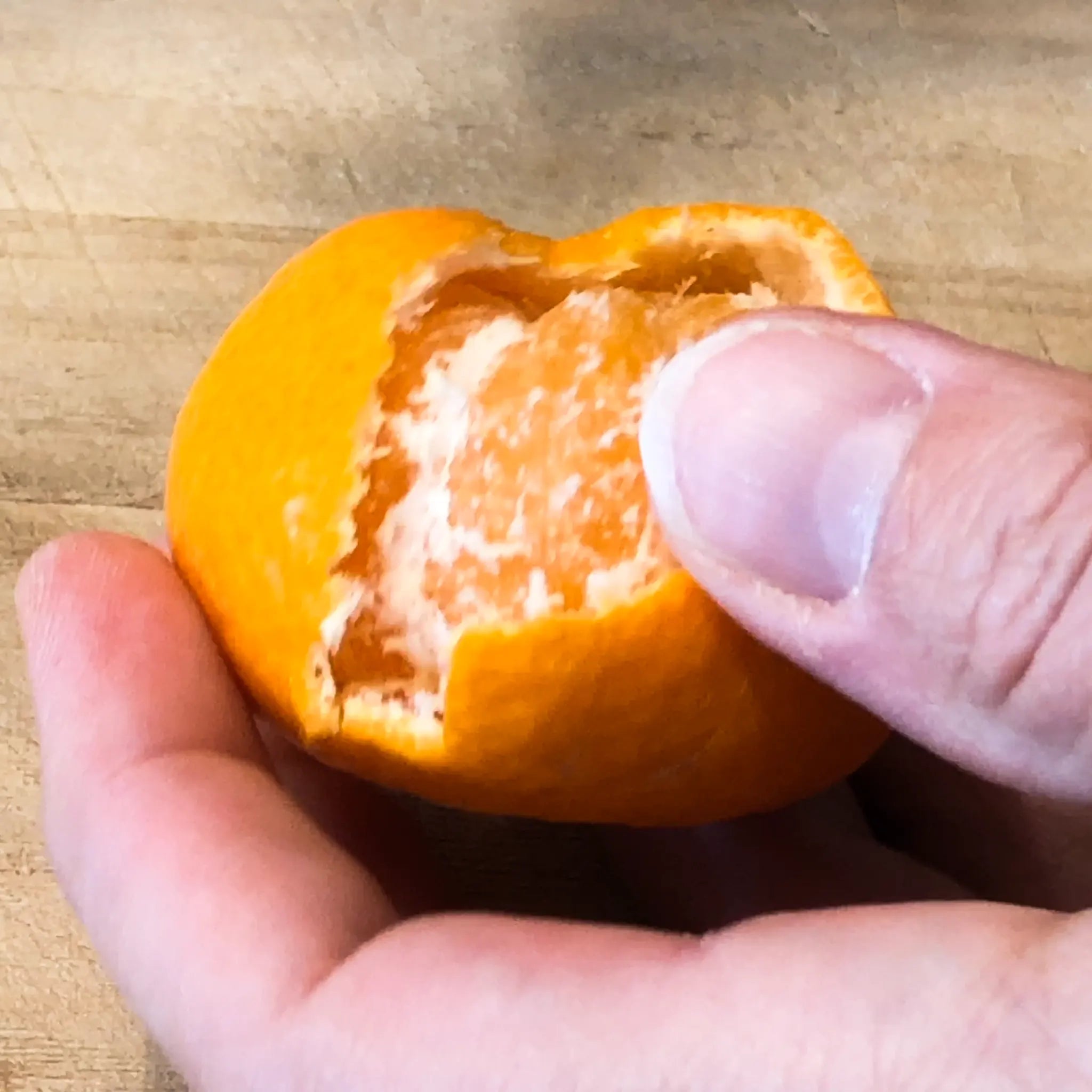 Seedless Kishu Mandarin Orange Tree