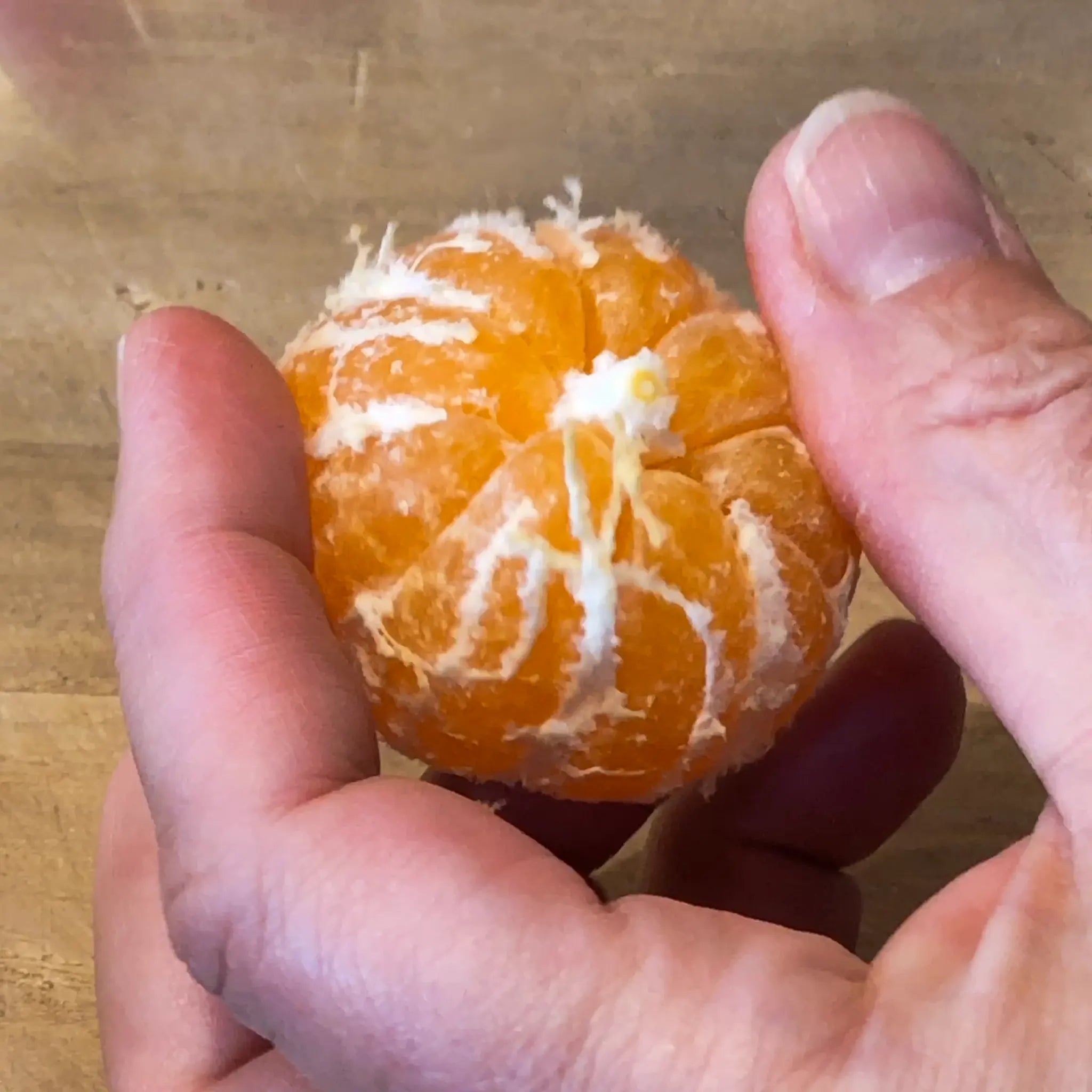 Seedless Kishu Mandarin Orange Tree