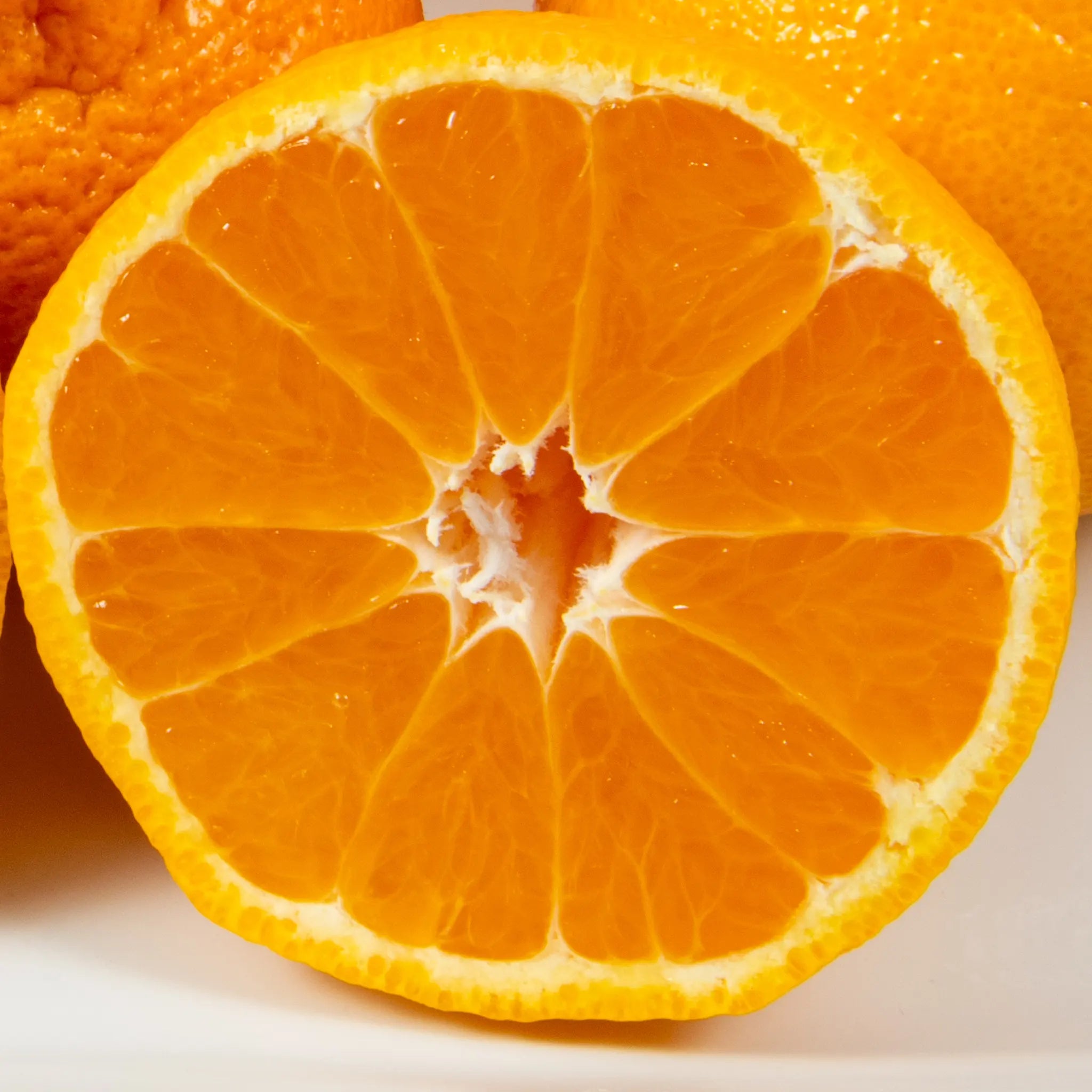 Shiranui Mandarin Orange Tree