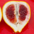 Valentine Pummelo Tree