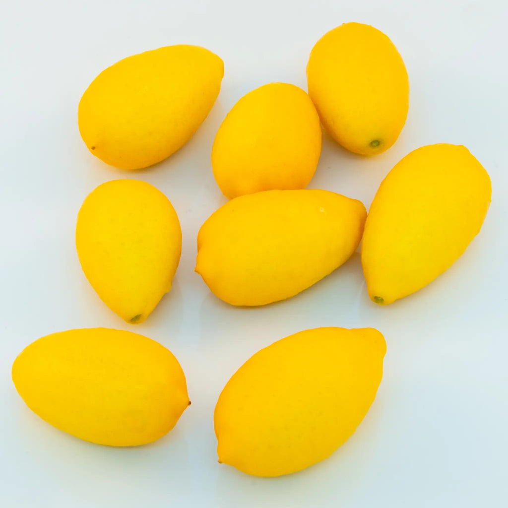 Tavares Limequat Tree