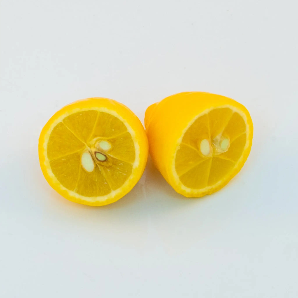 Tavares Limequat Tree